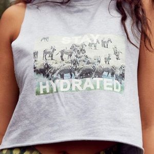 NWT / Aerie / Terry / Crop Tank